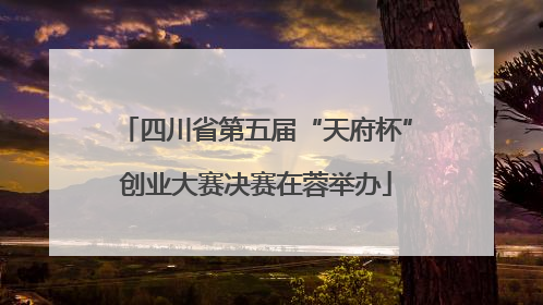 四川省第五届“天府杯”创业大赛决赛在蓉举办