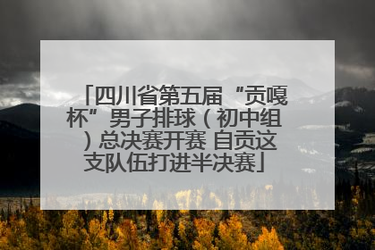 四川省第五届“贡嘎杯”男子排球（初中组）总决赛开赛 自贡这支队伍打进半决赛