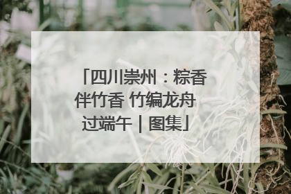 四川崇州：粽香伴竹香 竹编龙舟过端午｜图集