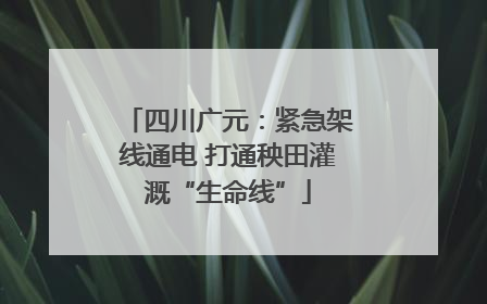 四川广元：紧急架线通电 打通秧田灌溉“生命线”