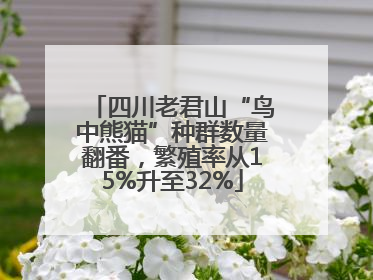 四川老君山“鸟中熊猫”种群数量翻番，繁殖率从15%升至32%