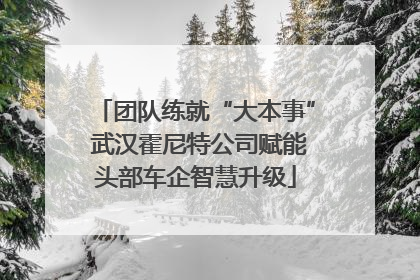 团队练就“大本事” 武汉霍尼特公司赋能头部车企智慧升级