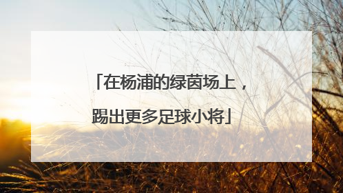 在杨浦的绿茵场上，踢出更多足球小将