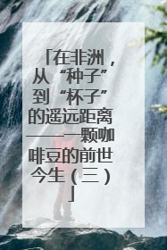 在非洲，从“种子”到“杯子”的遥远距离——一颗咖啡豆的前世今生（三）