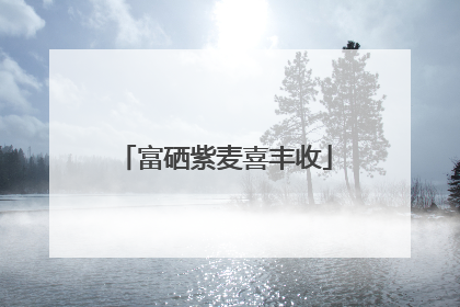 富硒紫麦喜丰收