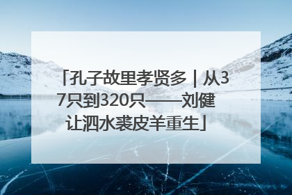 孔子故里孝贤多｜从37只到320只——刘健让泗水裘皮羊重生