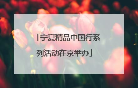 宁夏精品中国行系列活动在京举办