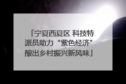 宁夏西夏区 科技特派员助力“紫色经济”酿出乡村振兴新风味