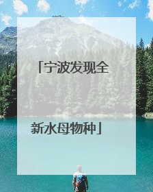 宁波发现全新水母物种