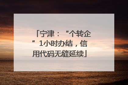 宁津：“个转企”1小时办结，信用代码无缝延续