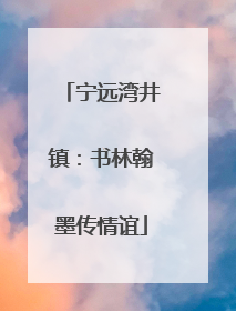 宁远湾井镇：书林翰墨传情谊