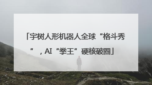 宇树人形机器人全球“格斗秀”，AI“拳王”硬核破圈