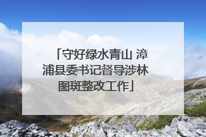 守好绿水青山 漳浦县委书记督导涉林图斑整改工作