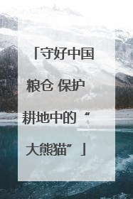 守好中国粮仓 保护耕地中的“大熊猫”