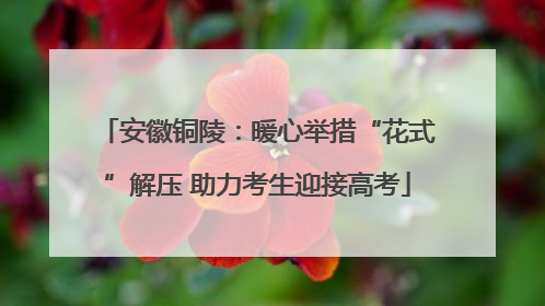 安徽铜陵：暖心举措“花式”解压 助力考生迎接高考