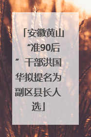 安徽黄山“准90后”干部洪国华拟提名为副区县长人选