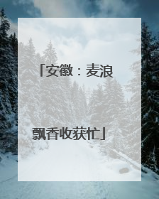 安徽：麦浪飘香收获忙