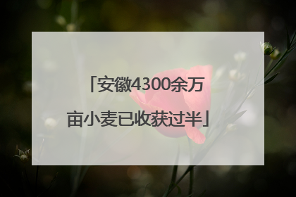 安徽4300余万亩小麦已收获过半