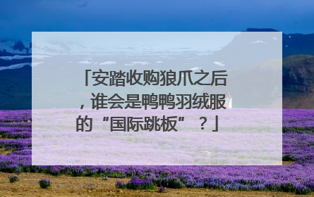 安踏收购狼爪之后，谁会是鸭鸭羽绒服的“国际跳板”？