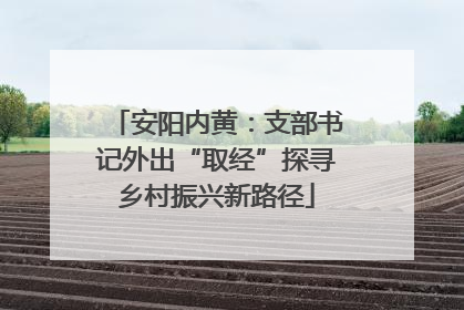 安阳内黄：支部书记外出“取经”探寻乡村振兴新路径
