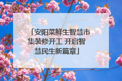 安阳菜鲜生智慧市集装修开工 开启智慧民生新篇章