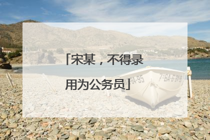 宋某，不得录用为公务员
