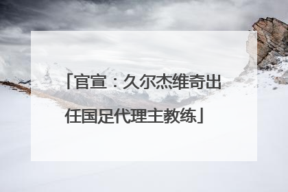 官宣：久尔杰维奇出任国足代理主教练