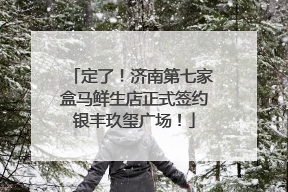 定了！济南第七家盒马鲜生店正式签约银丰玖玺广场！