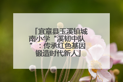 宜章县玉溪镇城南小学“溪韧中队”：传承红色基因 锻造时代新人