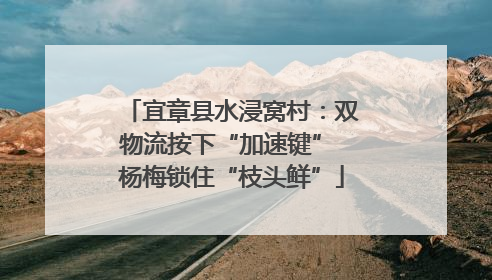 宜章县水浸窝村：双物流按下“加速键” 杨梅锁住“枝头鲜”