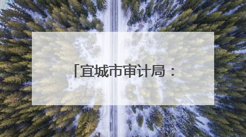 宜城市审计局：护航红薯育苗灌溉项目 助力农业增效农民增收