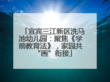 宜宾三江新区洗马池幼儿园：聚焦《学前教育法》，家园共“画”衔接