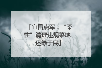宜昌点军：“柔性”清理违规菜地 还绿于民