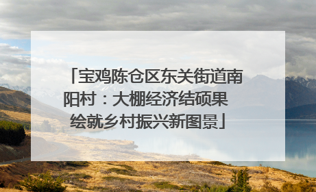 宝鸡陈仓区东关街道南阳村：大棚经济结硕果 绘就乡村振兴新图景