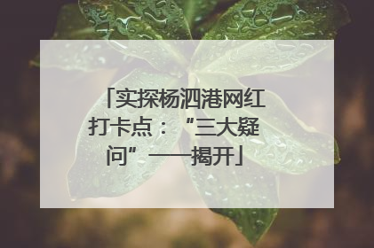 实探杨泗港网红打卡点：“三大疑问”一一揭开