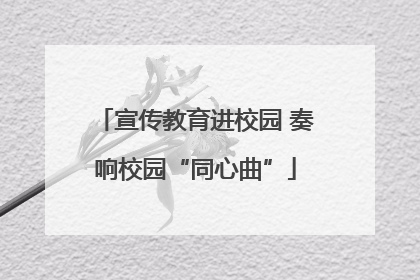 宣传教育进校园 奏响校园“同心曲”