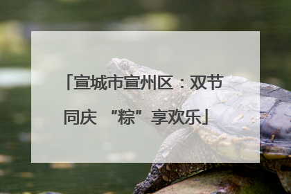 宣城市宣州区：双节同庆 “粽”享欢乐