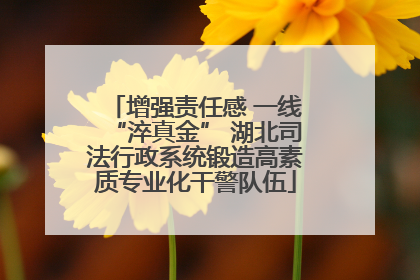 增强责任感 一线“淬真金” 湖北司法行政系统锻造高素质专业化干警队伍