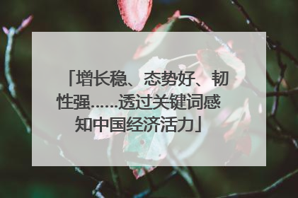 增长稳、态势好、韧性强……透过关键词感知中国经济活力