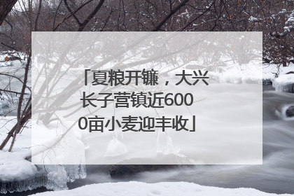 夏粮开镰，大兴长子营镇近6000亩小麦迎丰收