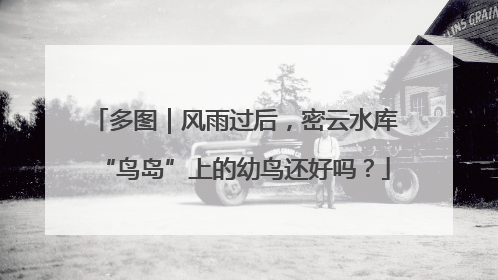 多图｜风雨过后，密云水库“鸟岛”上的幼鸟还好吗？