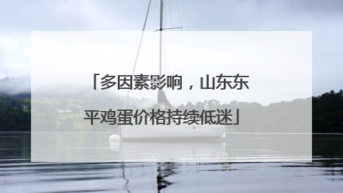多因素影响，山东东平鸡蛋价格持续低迷