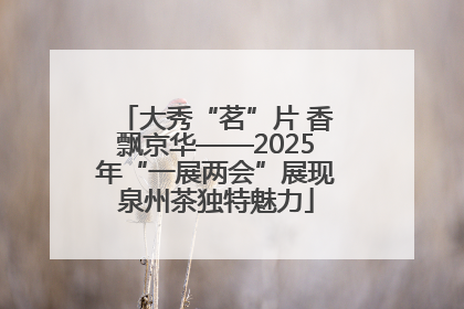 大秀“茗”片 香飘京华——2025年“一展两会”展现泉州茶独特魅力