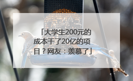 大学生200元的成本干了20亿的项目？网友：羡慕了