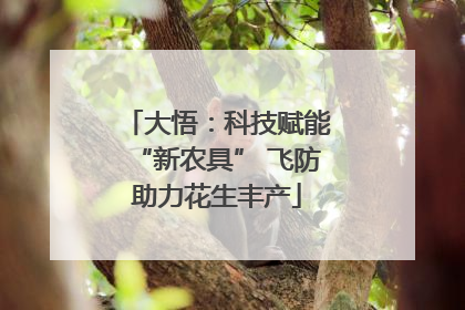 大悟：科技赋能“新农具” 飞防助力花生丰产