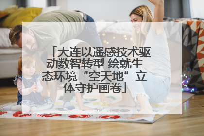 大连以遥感技术驱动数智转型 绘就生态环境“空天地”立体守护画卷