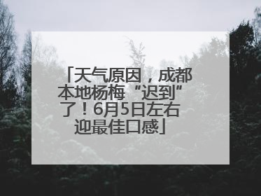 天气原因，成都本地杨梅“迟到”了！6月5日左右迎最佳口感