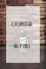 天津任命一批干部