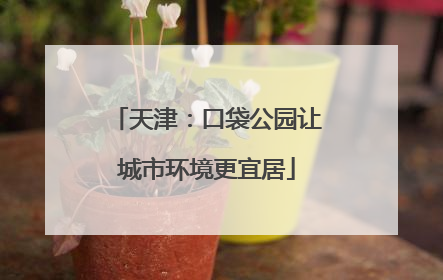 天津：口袋公园让城市环境更宜居