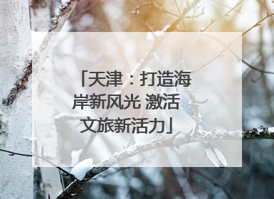 天津：打造海岸新风光 激活文旅新活力